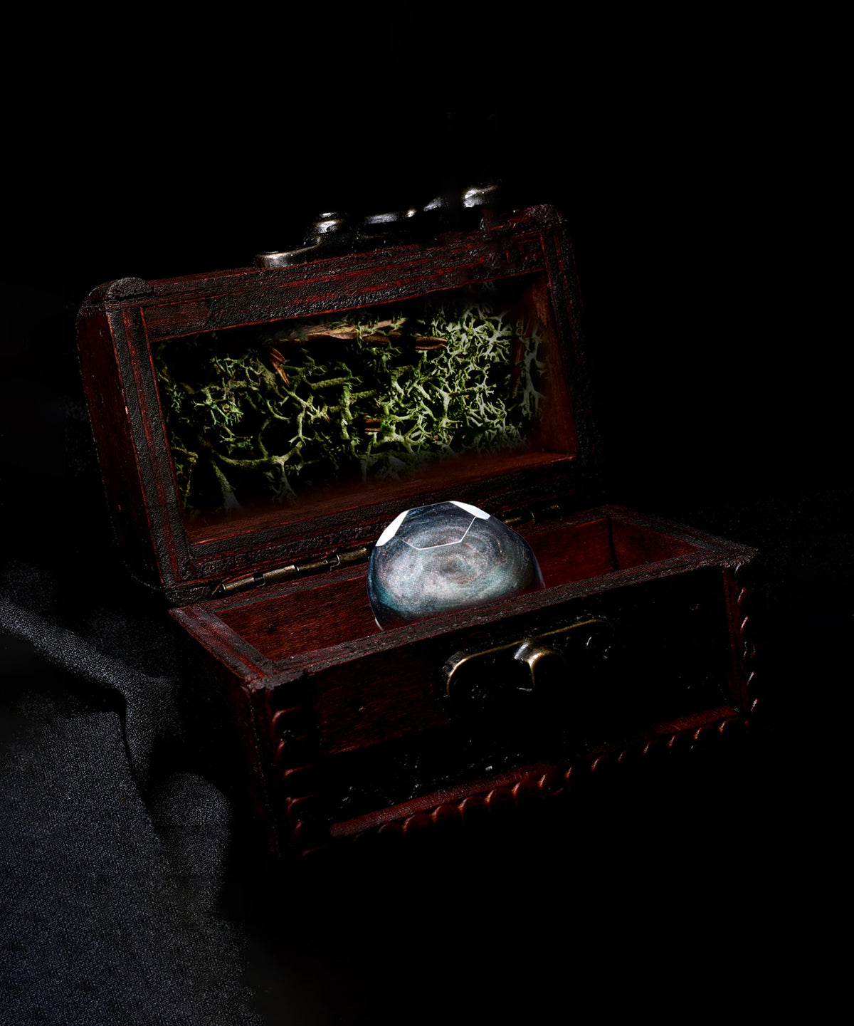 Mystery Chest | 1 Shell