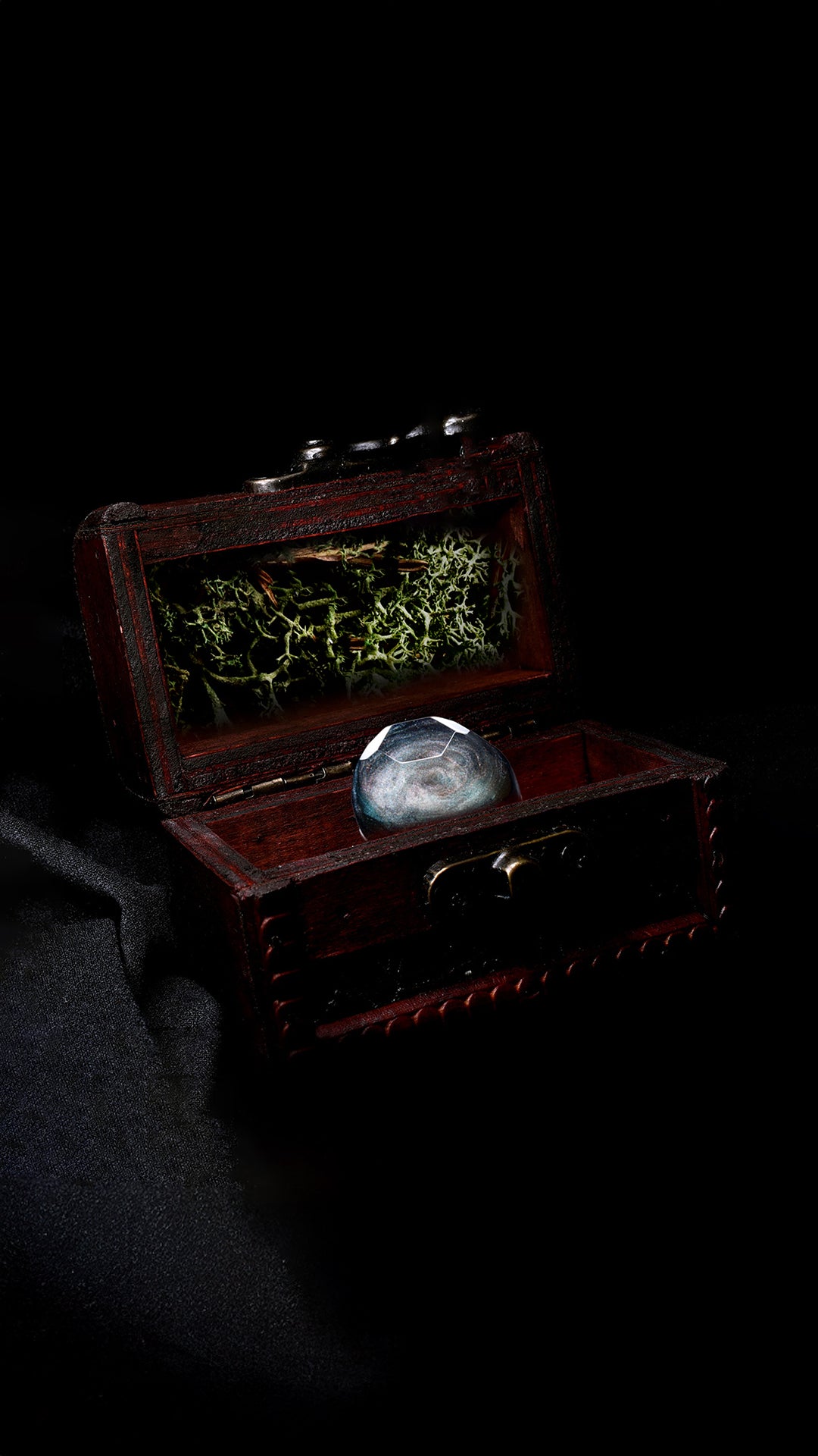 Mystery Chest | 1 Shell