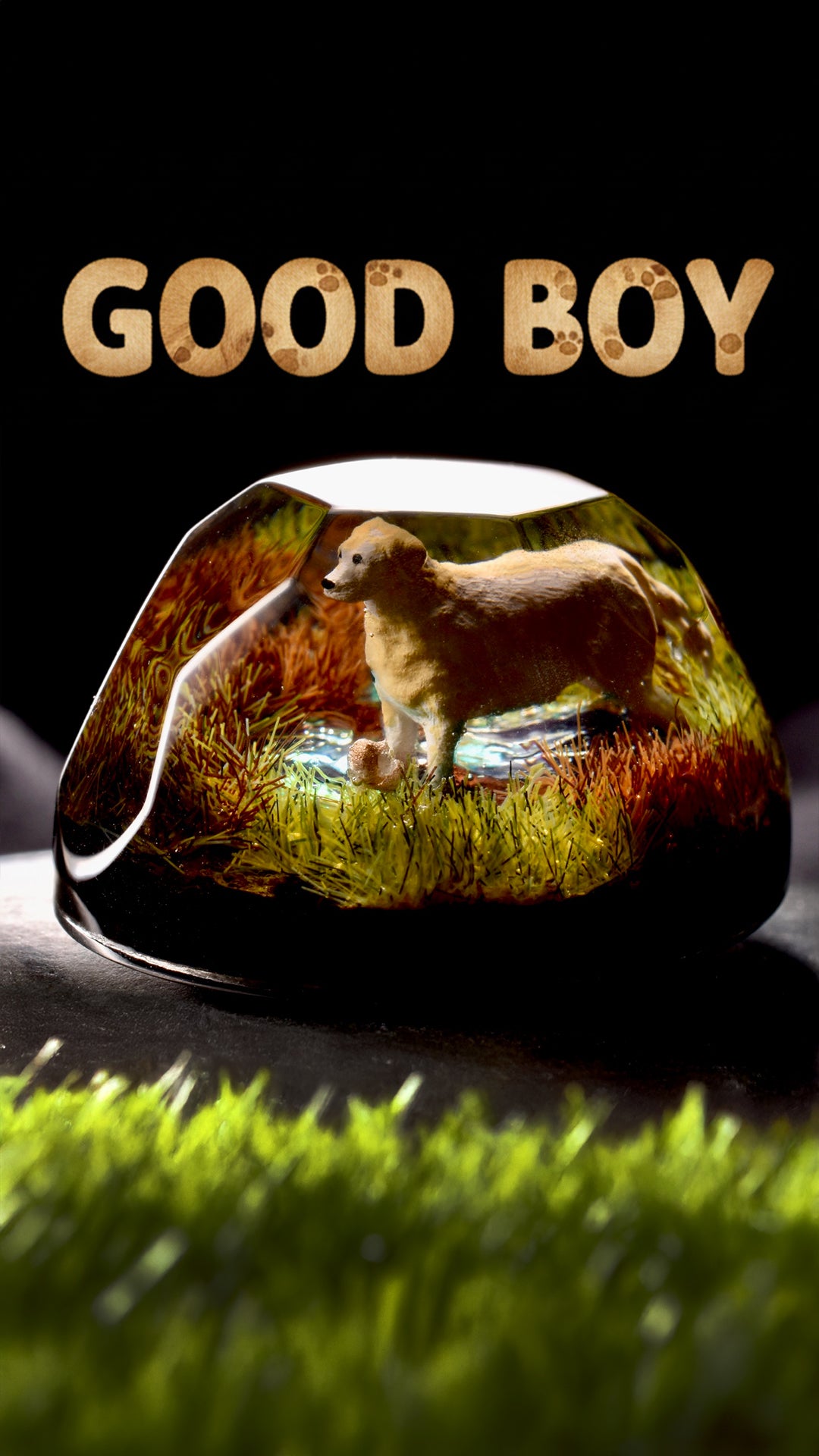 Good Boy