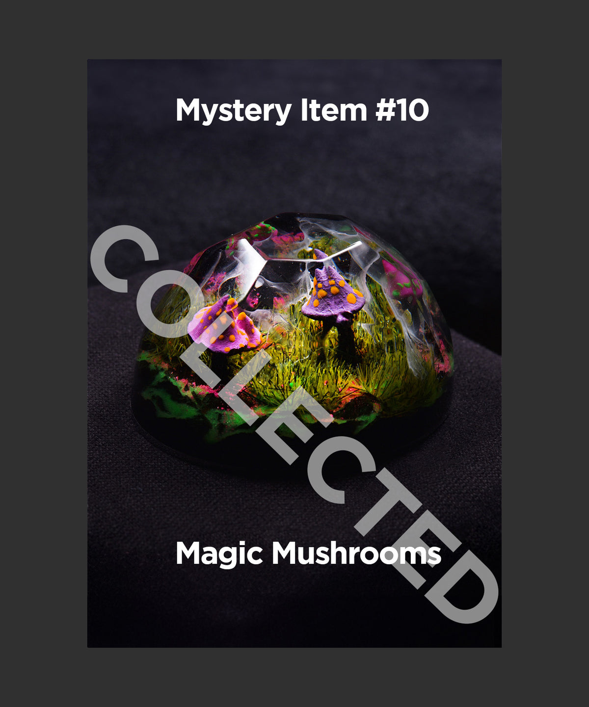 Mystery Chest | 1 Base 3 Shells