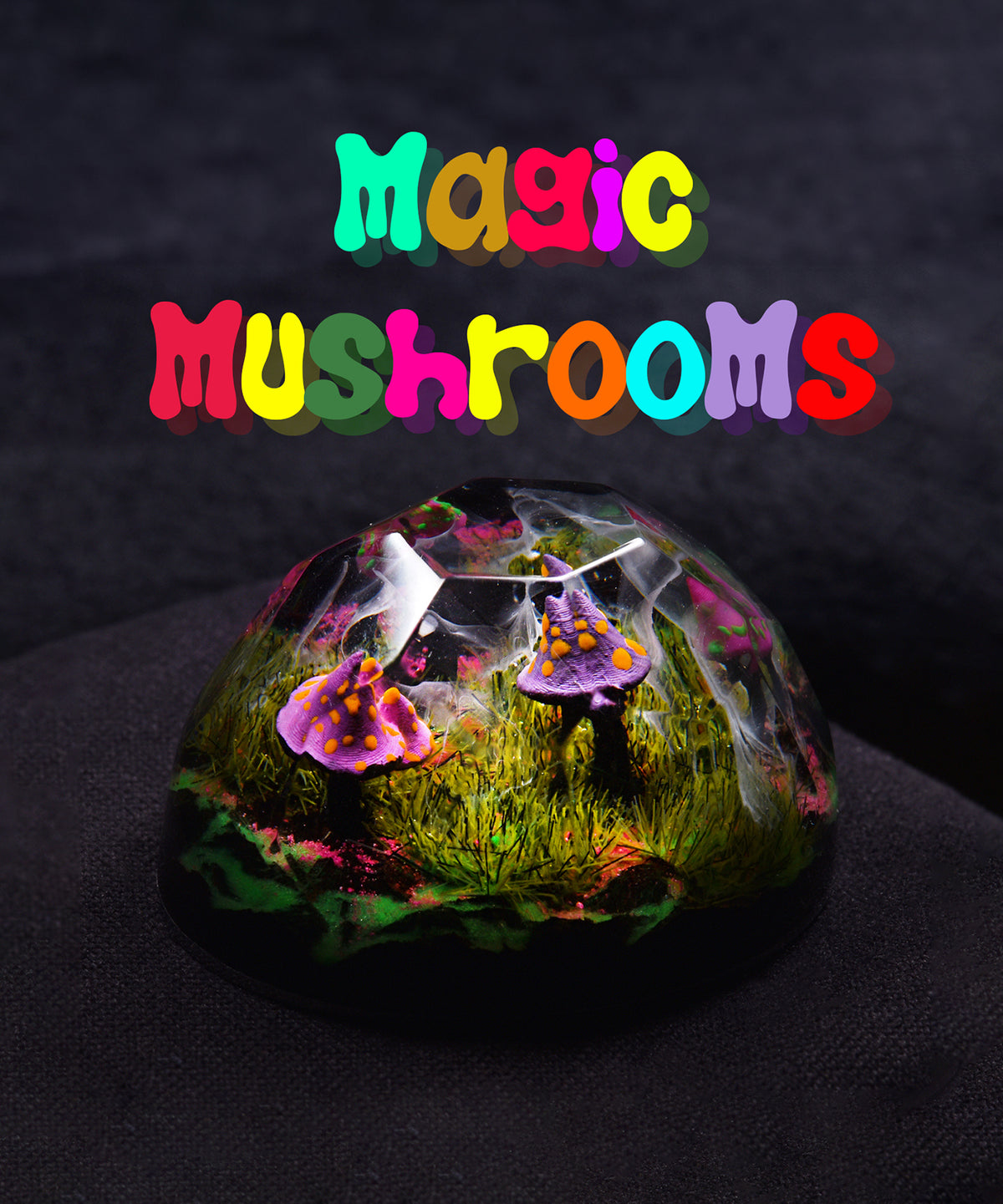 Magic Mushrooms (TOP)