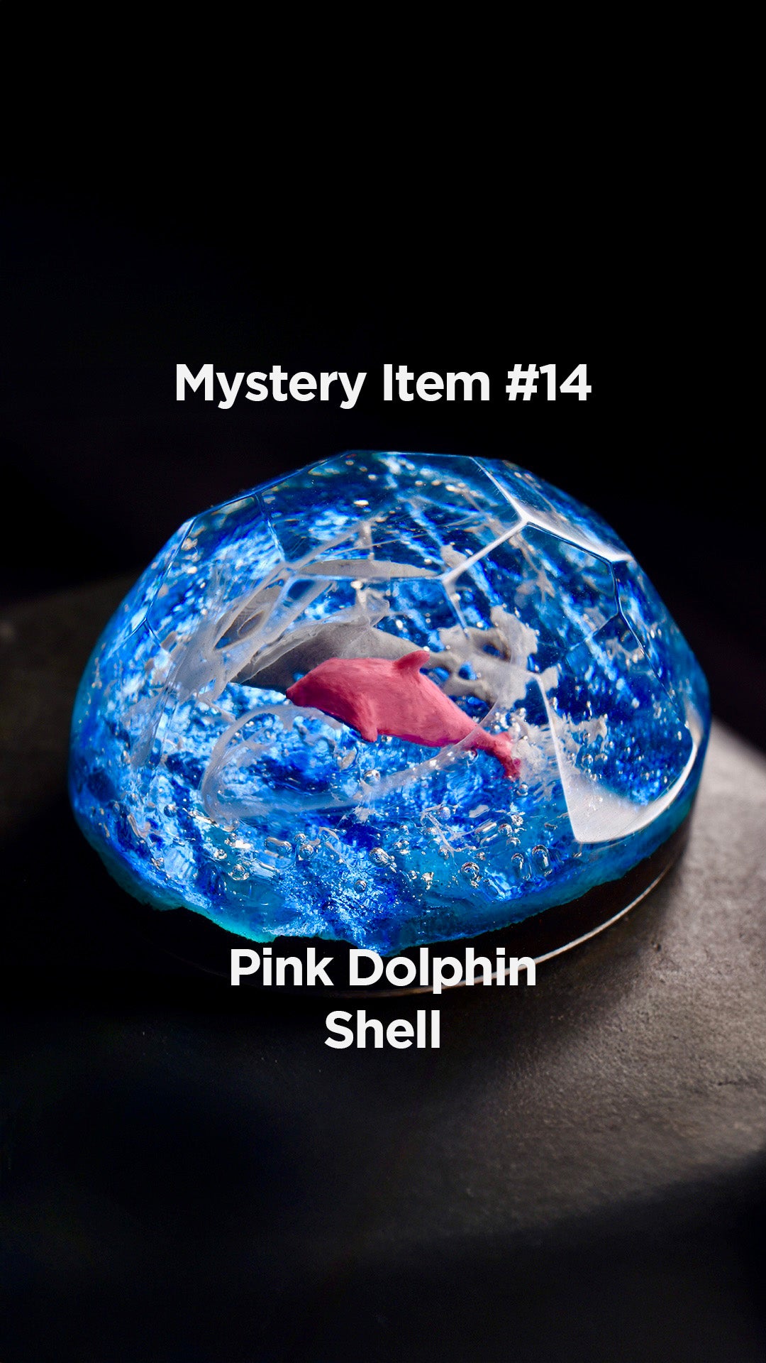 Mystery Chest | 1 Base 3 Shells + Limited Shell
