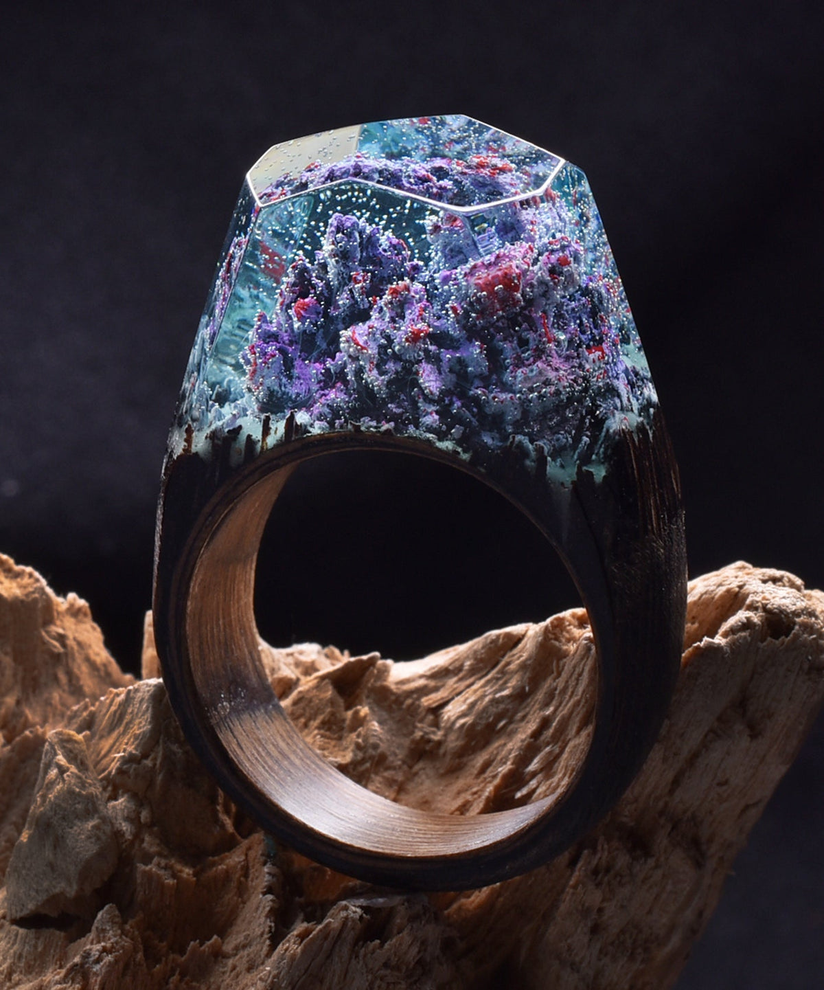Coral Reef Size - 10