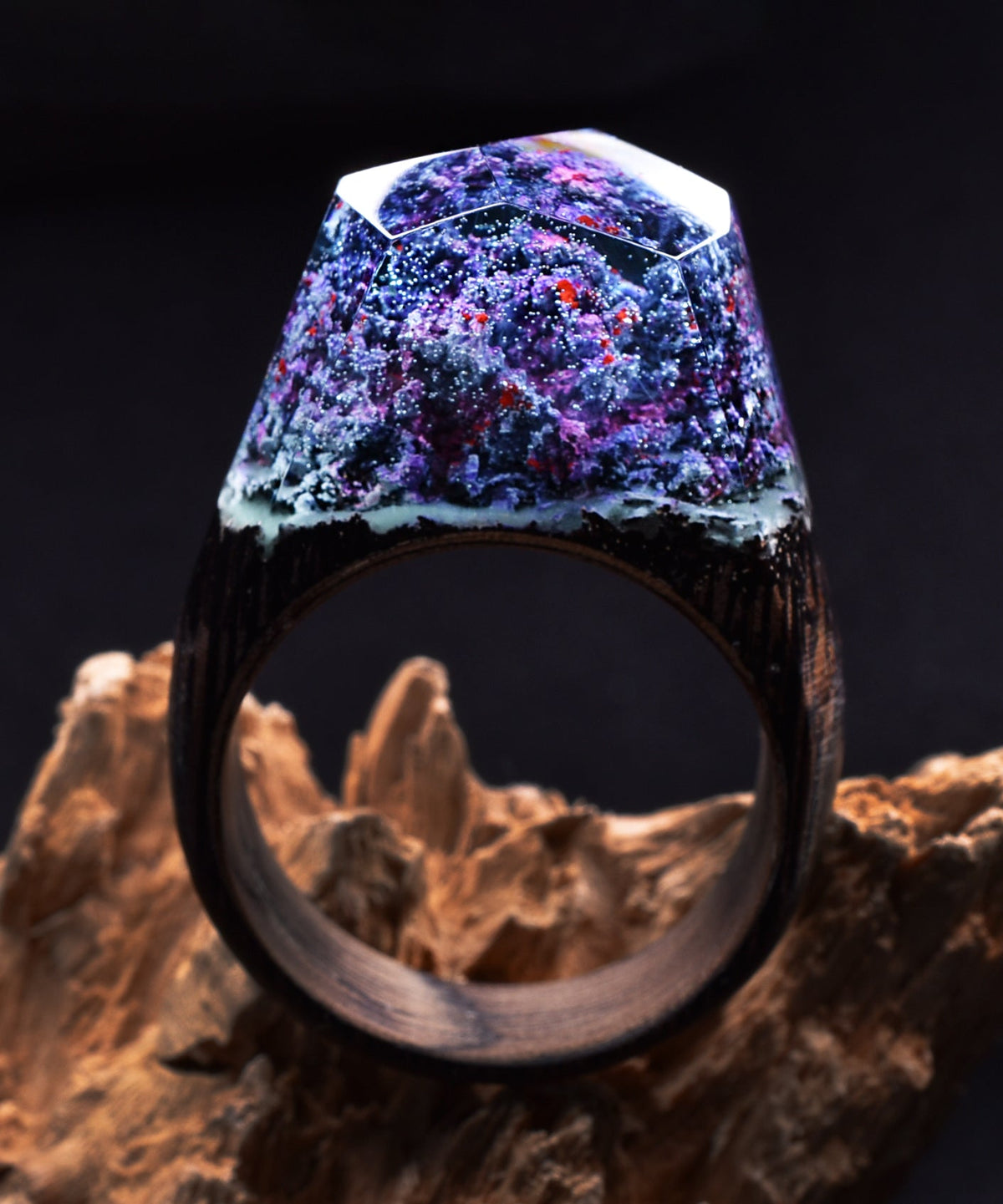 Coral Reef Size - 13.5