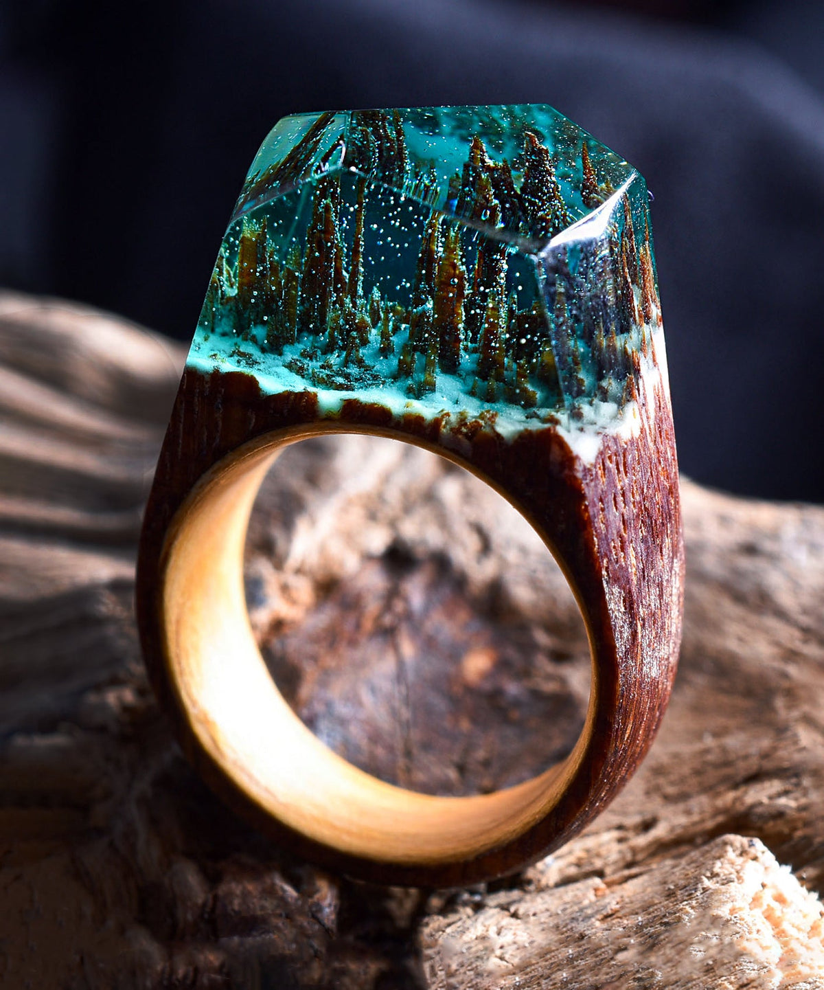 Enchanted Forest Size - 6