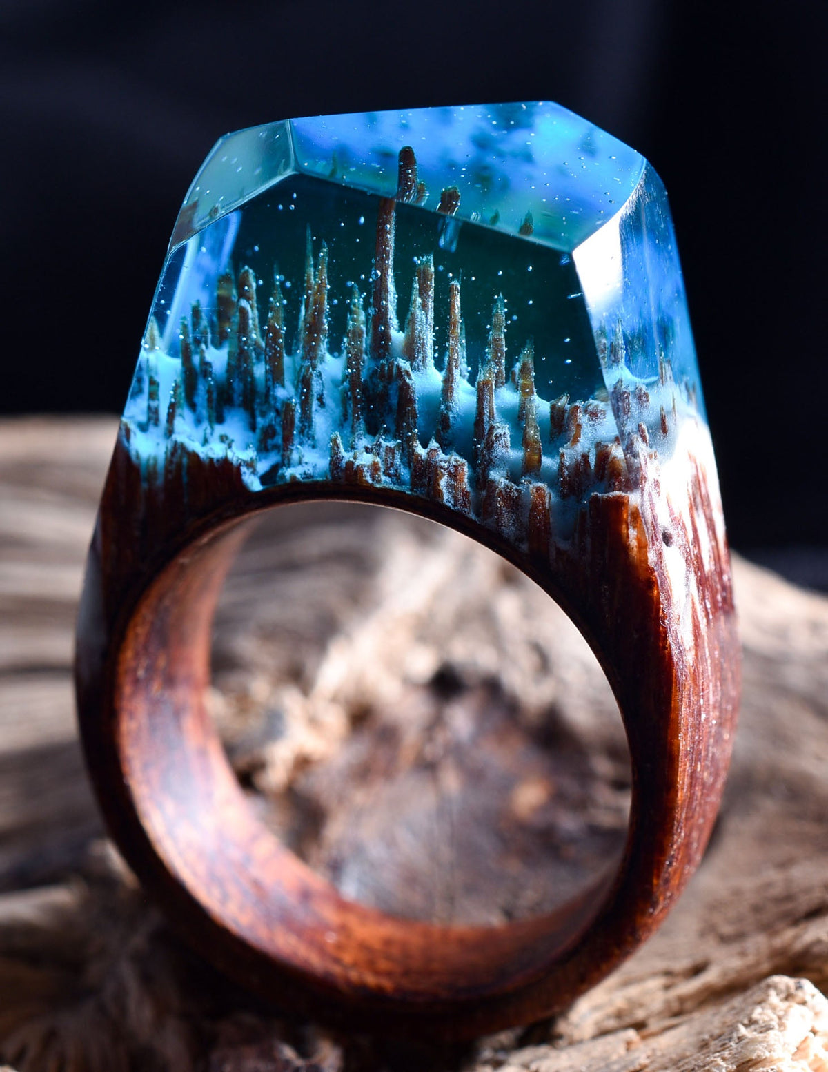 Enchanted Forest Size-7.5