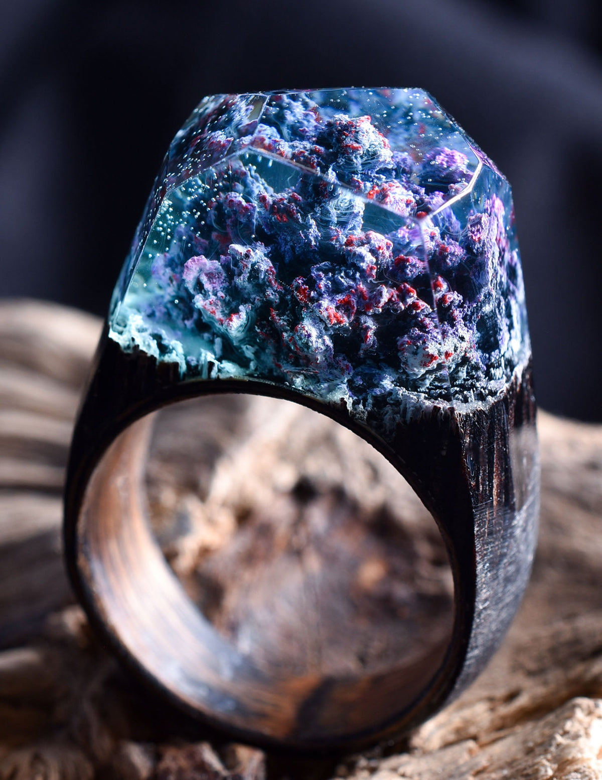 Coral Reef Size-8