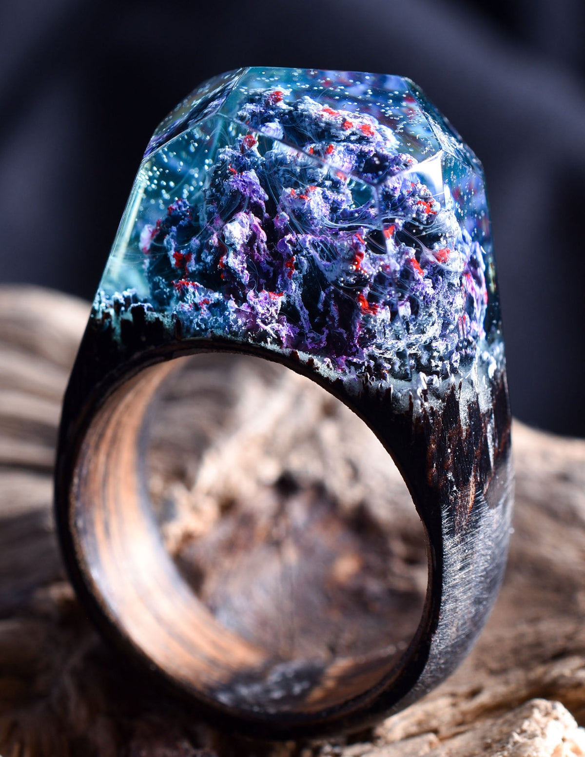 Coral Reef Size-8