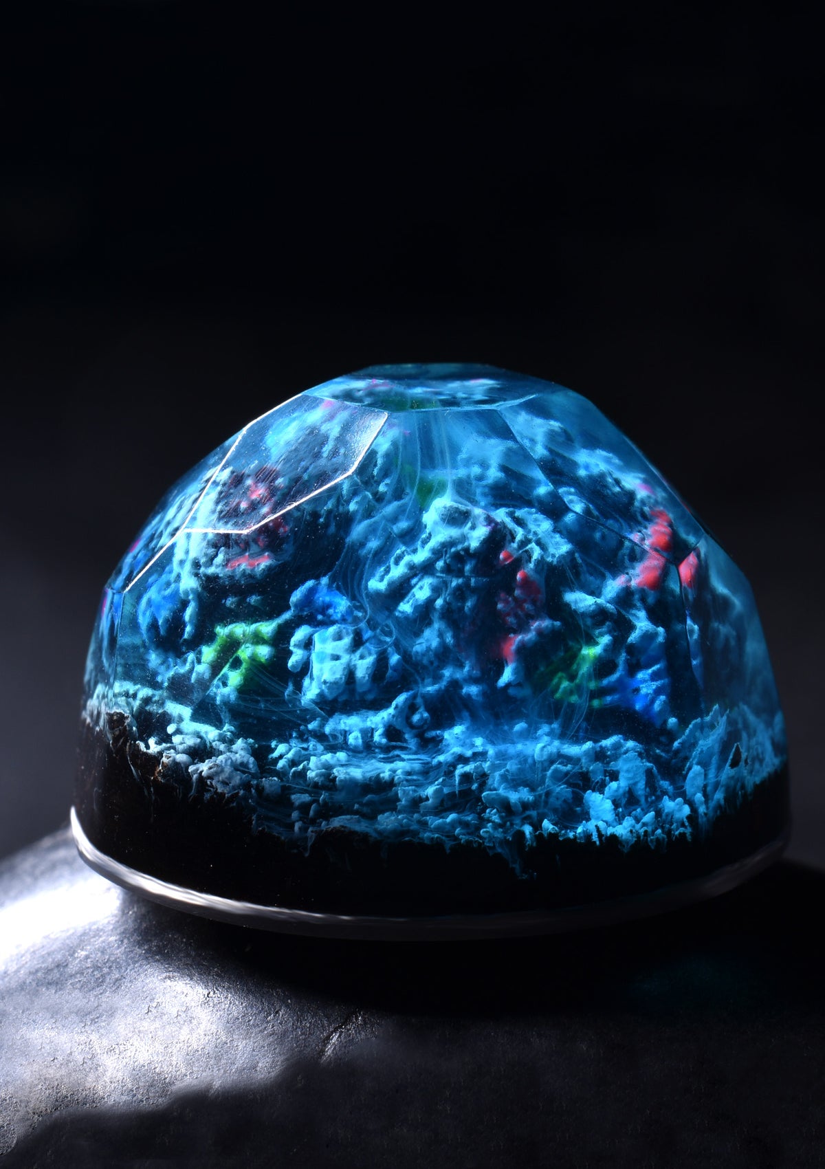 Coral Reef Shell