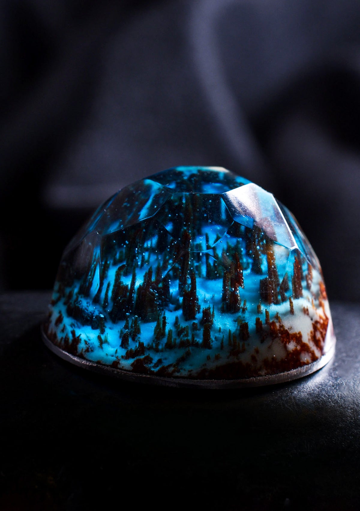 Enchanted Forest Shell