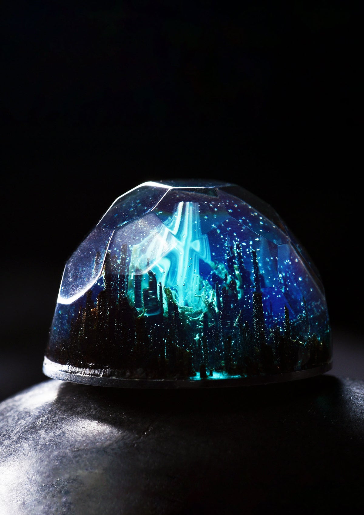 Ocean Oasis Shell